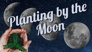 Does Planting by the Moon Work and What is It?