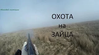 охота на зайца часть 2