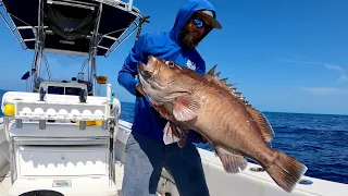 My Bottom Dollar | Commercial Snowy Grouper Fishing | How To