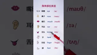 身体部位单词#英语 Learn Chinese - Learn English