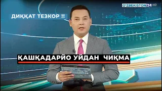 ТЕЗКОР !! ҚАШҚАДАРЁ УЙДАН ЧИҚМА