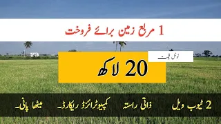 Agriculture land for sale in Punjab Pakistan | land for sale | zameen for sale | raqba for sale