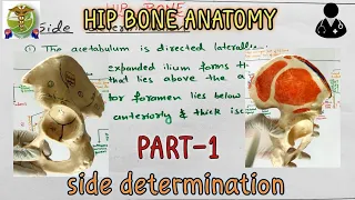 Hip bone l Side determination l PART 1/6 l Anatomy of Hip bone
