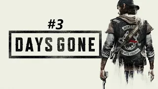 Days Gone. Кладбище Пайонир. Едем в Хот-Спрингз. Такер и Элкай. Отдаём лекарство.  Стрим #3.