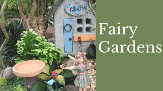 Fairy Garden Workshop