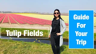 Guide for planning Trip To Amazing Tulip Fields of Holland | Keukenhof |  | Amsterdam