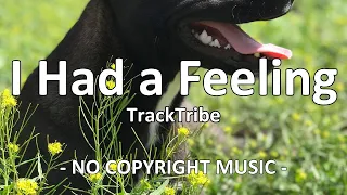 I Had a Feeling - TrackTribe [Copyright FREE MUSIC]