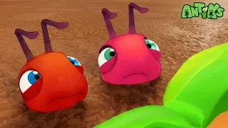 Oddbods Apresenta: Antiks | Areia Movediça | Engraçado dos desenhos animados para crianças