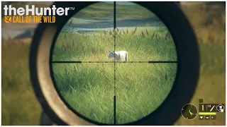 The Hunter Call of the Wild | kill compilation