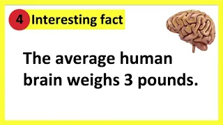 30 interesting facts about the human body 🧠 🦴