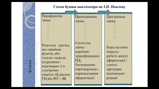 Пратикум із загальної психології. Лекція 2