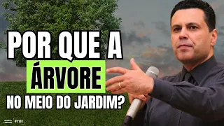 POR QUE A ÁRVORE NO MEIO DO JARDIM? 🌴