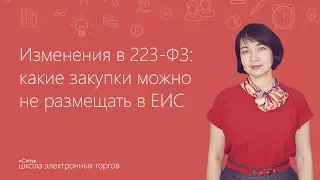 Изменения в 223-ФЗ: какие закупки можно не размещать в ЕИС