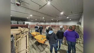 Western Illinois University students get an up-close look at the beef production industry