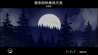 2023華語網絡流行音樂 ||《想你的時候問月亮》|| 蘇譚譚 || 動態歌詞