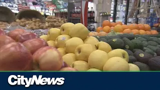 Business Report: Grocery chain's profits up 26%