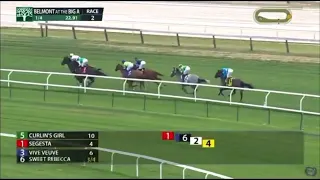 The 2024 Wonder Again Stakes (Grade 2) Won By Segesta | Sy B 2nd | Full Replay