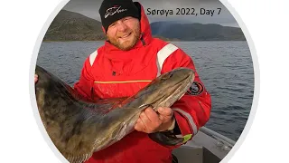 Sørøya 2022 Day 7 Hunt for halibut, Big Fish Adventure