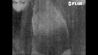 Possible Thermal Image of Bigfoot in Northern Alabama