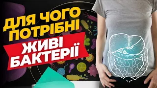 Які пробіотики обрати❓| ✅Що приймати після антибіотиків❓| Замовити живі бактерії для організму🔥