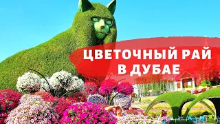 50 млн Цветов в Пустыне!🌸🌺 Сад цветов и парк чудес в Дубае.🌻Dubai Miracle Garden