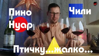 Пино Нуар из красного и белого!Чили. Vina de la Costa Резерва Спешиал.Какое #вино купить в магазине?