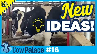 Some NEW IDEAS for Inside Our Dairy Barn! | Building Our Cow Palace - Ep16