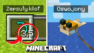 10 FAKTÓW o MINECRAFT o których NIE MIAŁEŚ POJĘCIA!