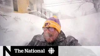 Braving the N.L. blizzard