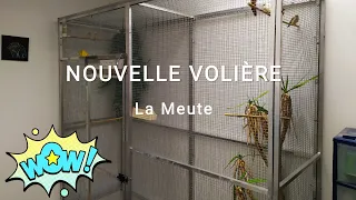 NOUVELLE VOLIÈRE POUR MES OISEAUX EXOTIQUES 😍🐦