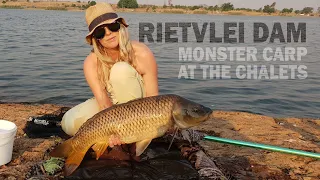 Catching monster carp at the chalets - Rietvlei Dam