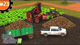 Как Вырастить Свеклу: Шаг за Шагом | Fs 18 Farming Simulator 18. #23