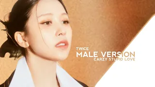 CRAZY STUPID LOVE | TWICE (MALE VERSION)