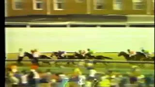 107th Preakness Stakes - May 15, 1982