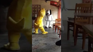 Snoopy & Woodstock dancing 2/10/19 @ Knott's