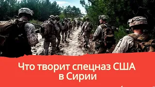 Новости. Что творит спецназ США в Сирии.