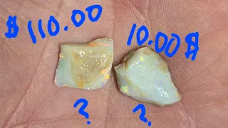 Is Paying 10x As much For Opal Worth it? Let's Find Out!