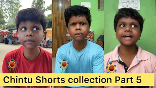 Chintu Shorts Collection Part 5 | Velujazz