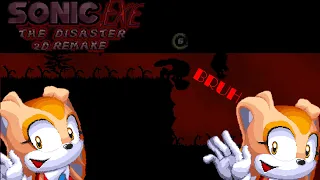 Many Bruh! | Sonic.exe The Disaster 2D Remake Longplay #2