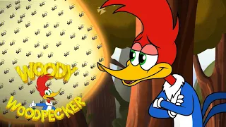 Angry Bees | Full Episode | Woody Woodpecker