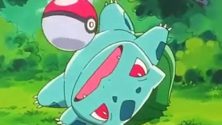 pokemon liga indigo   Ash Pega um Pokémon episodio 3 dublado