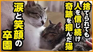 【祝！卒園】捨てられてケガを負っていた猫...それでも人を信じて、優しい家族の元へ