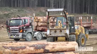 Hino 700 Mangonui Haulage