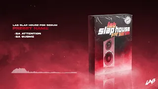 LAB Slap House For Serum | New Preset Pack