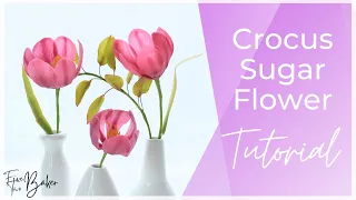 Crocus Sugar Flower Tutorial  ⎸Spring Gumpaste Flowers  ⎸How to Make Sugar Flowers