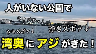 ウキズボッ！春の東京湾でライトアジ釣り！【小話有り】2024.4