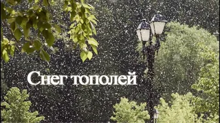 Снег тополей, (О.Аверин). Cover