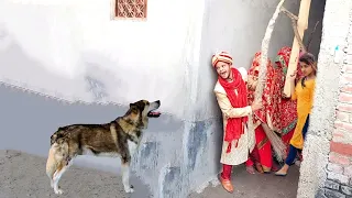 Must Watch New Funny Comedy Video 2022 Best Amazing Funniest video Episode 28 By Funny Dhamaka Ent