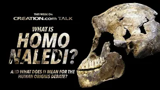 What Is Homo Naledi? And What Does It Mean for the Human Origins Debate?