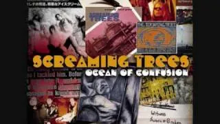 Screaming Trees - Working Class Hero